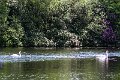 Springtime in Monaghan 2013 (16)